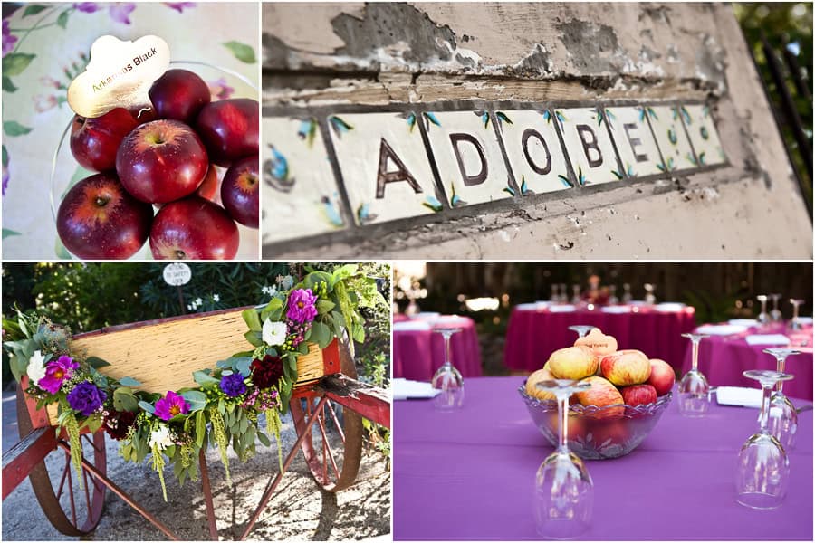 Leah and Jeff, Dallidet Adobe wedding, San Luis Obispo wedding photographer, Jen Rodriguez Photography