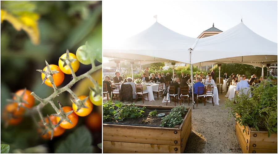 Cayucos wedding photography, Cass House wedding, Jen Rodriguez Photography