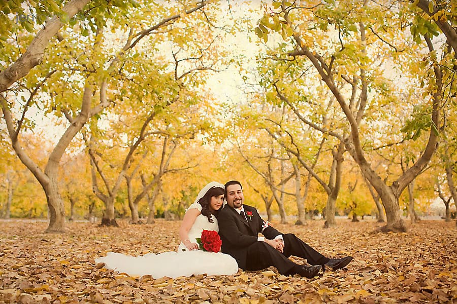 Mary+George-1436 copy