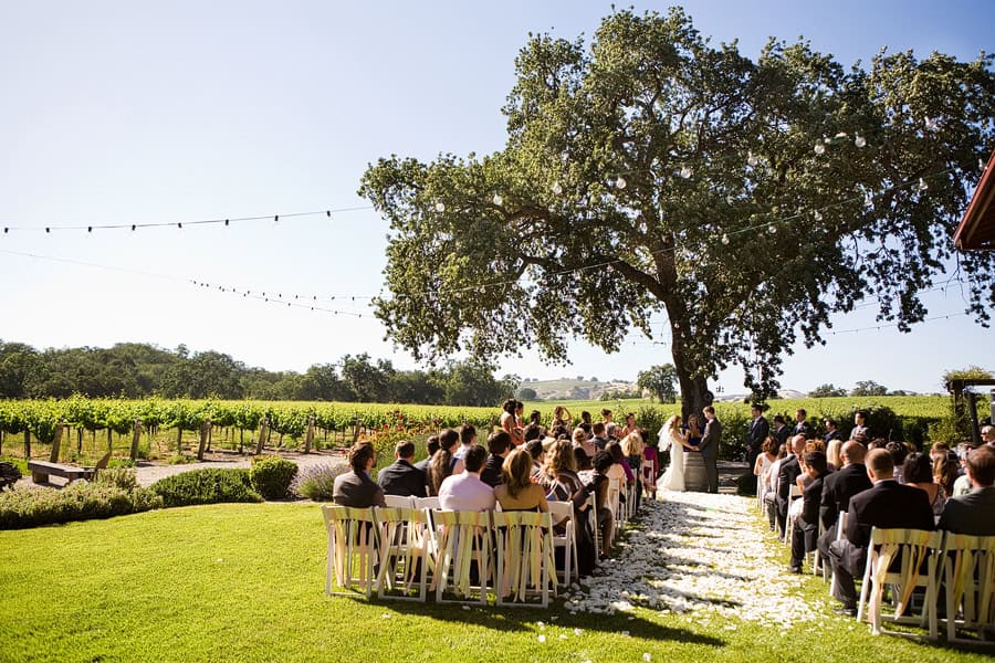 Kristin and Ryan getting married under the oak tree at Zenaida Cellars in Paso Robles