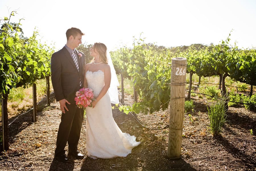 Bride and Groom at Zenaida Cellars in Paso Robles, Paso Robles wedding photographer, North county wedding photography