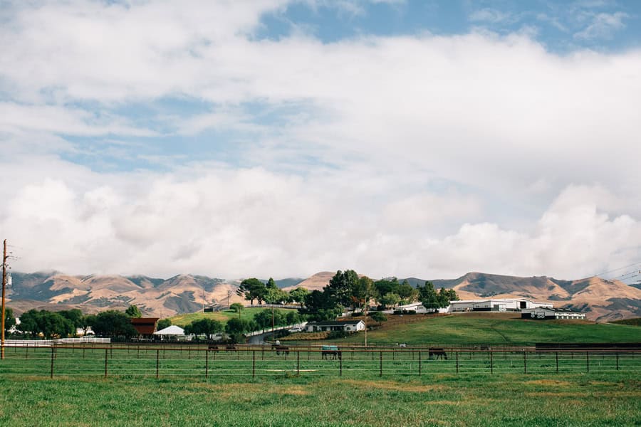 Jen Rodriguez Greengate Ranch Vineyard wedding013