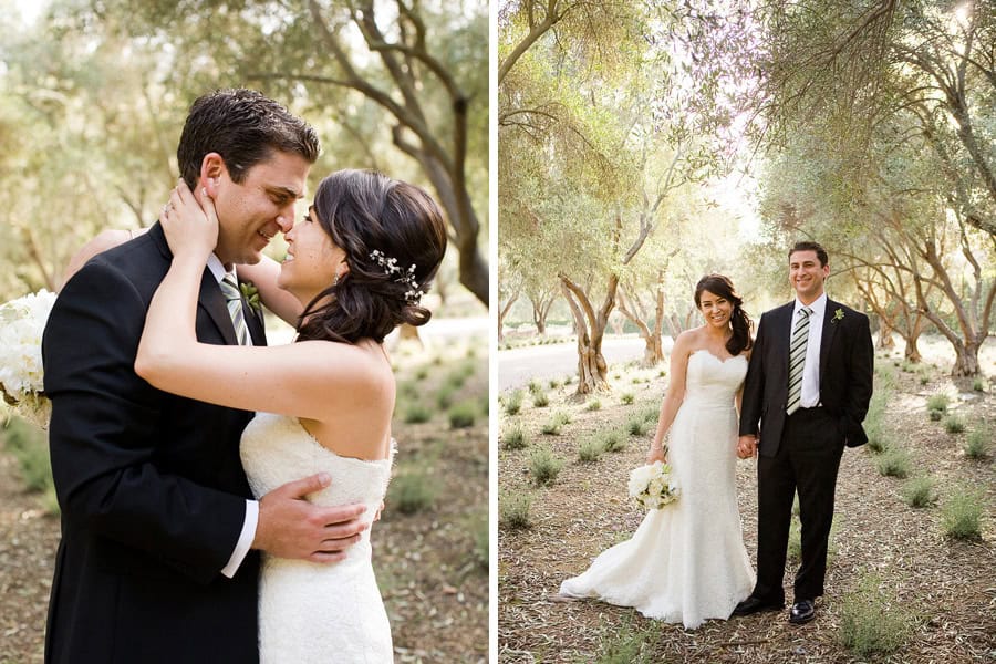 The lavender fields at the San Ysidro Ranch in Montecito