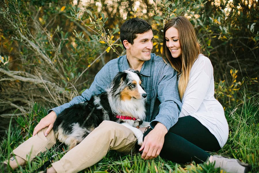 An engagement session that includes the couple's dog.
