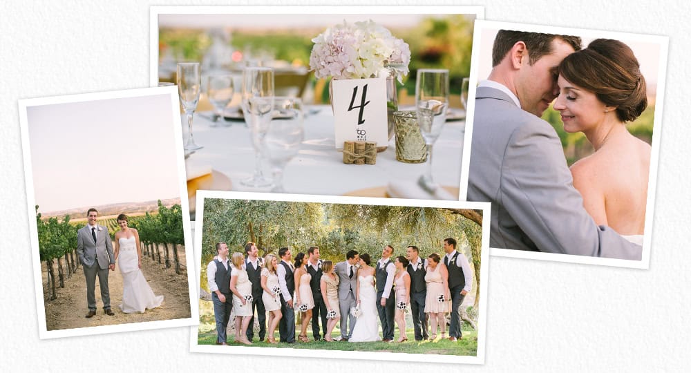 Still Waters Vineyards wedding photographs 