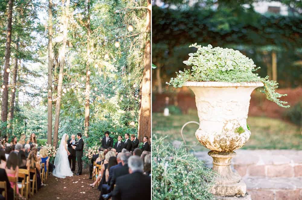 wedding venue in the redwoods