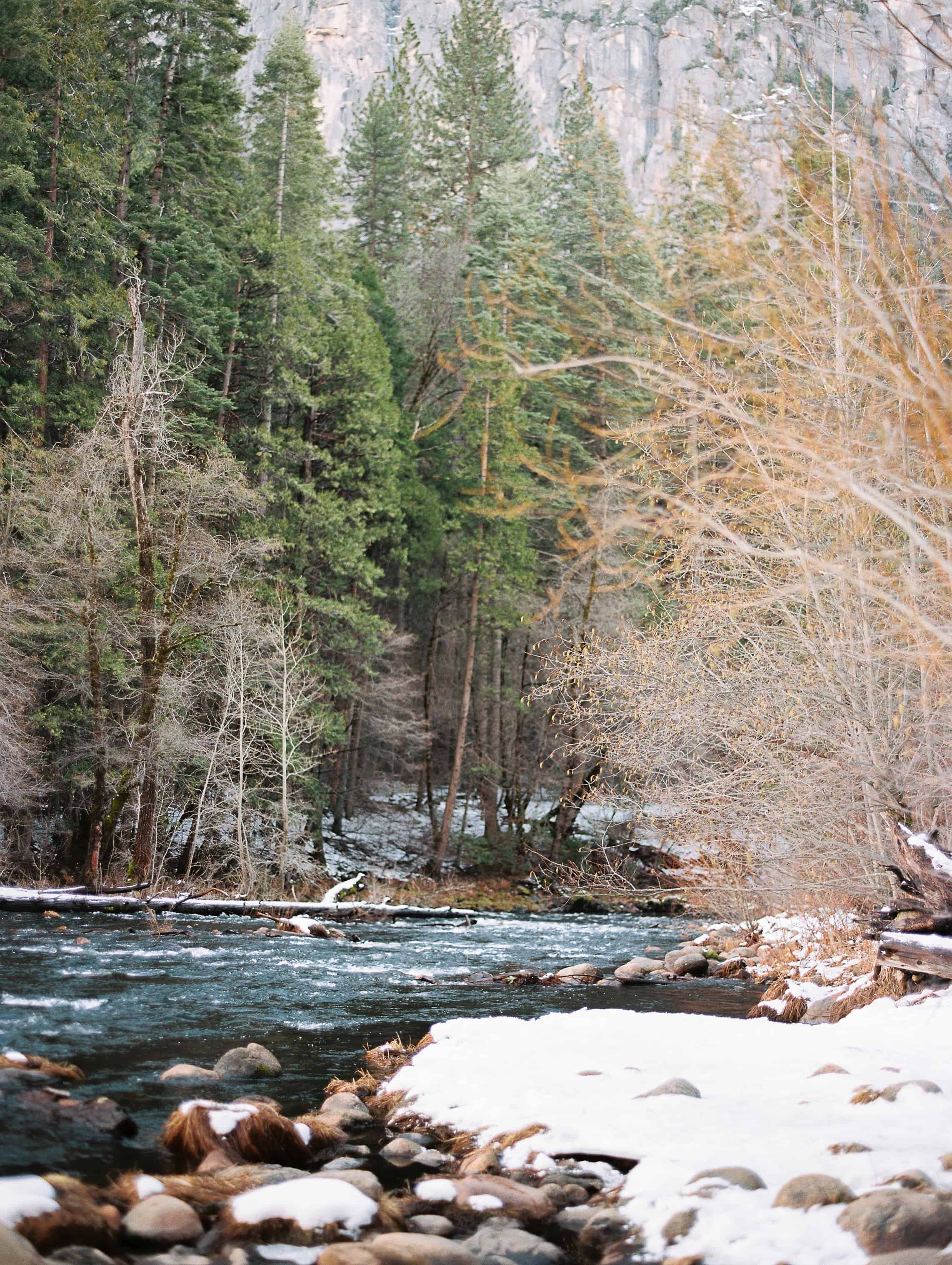 Snowy river and tree in Yosemite