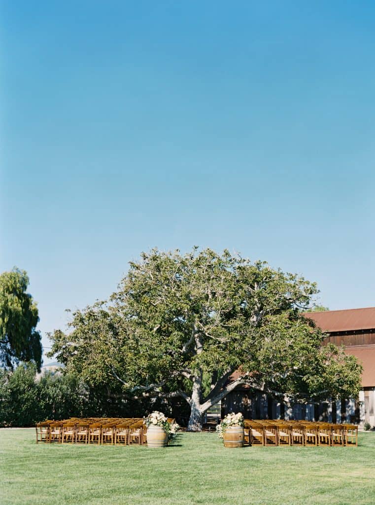 Wedding ceremony in front of the walnut tree at Greengate Ranch