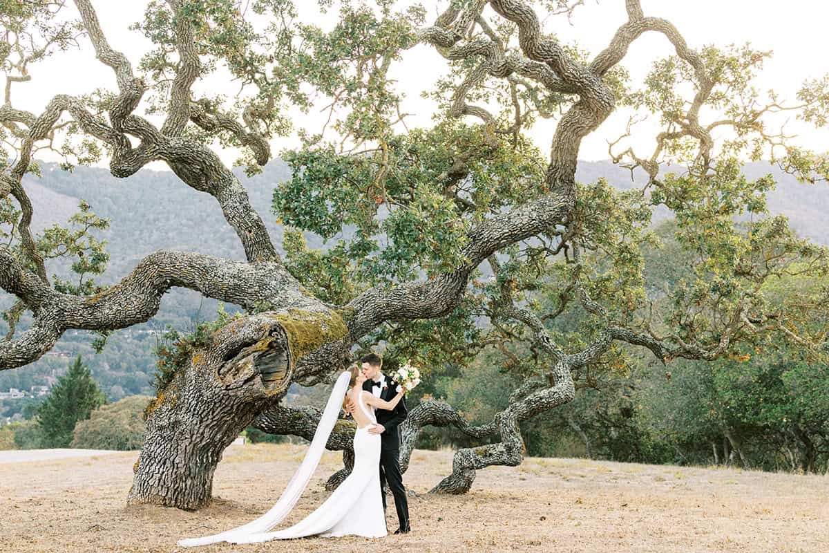 A couple stands under the iconic Holman ranch tree on their wedding day. Photographed by Carmel Wedding Photographer Jen Rodriguez.
