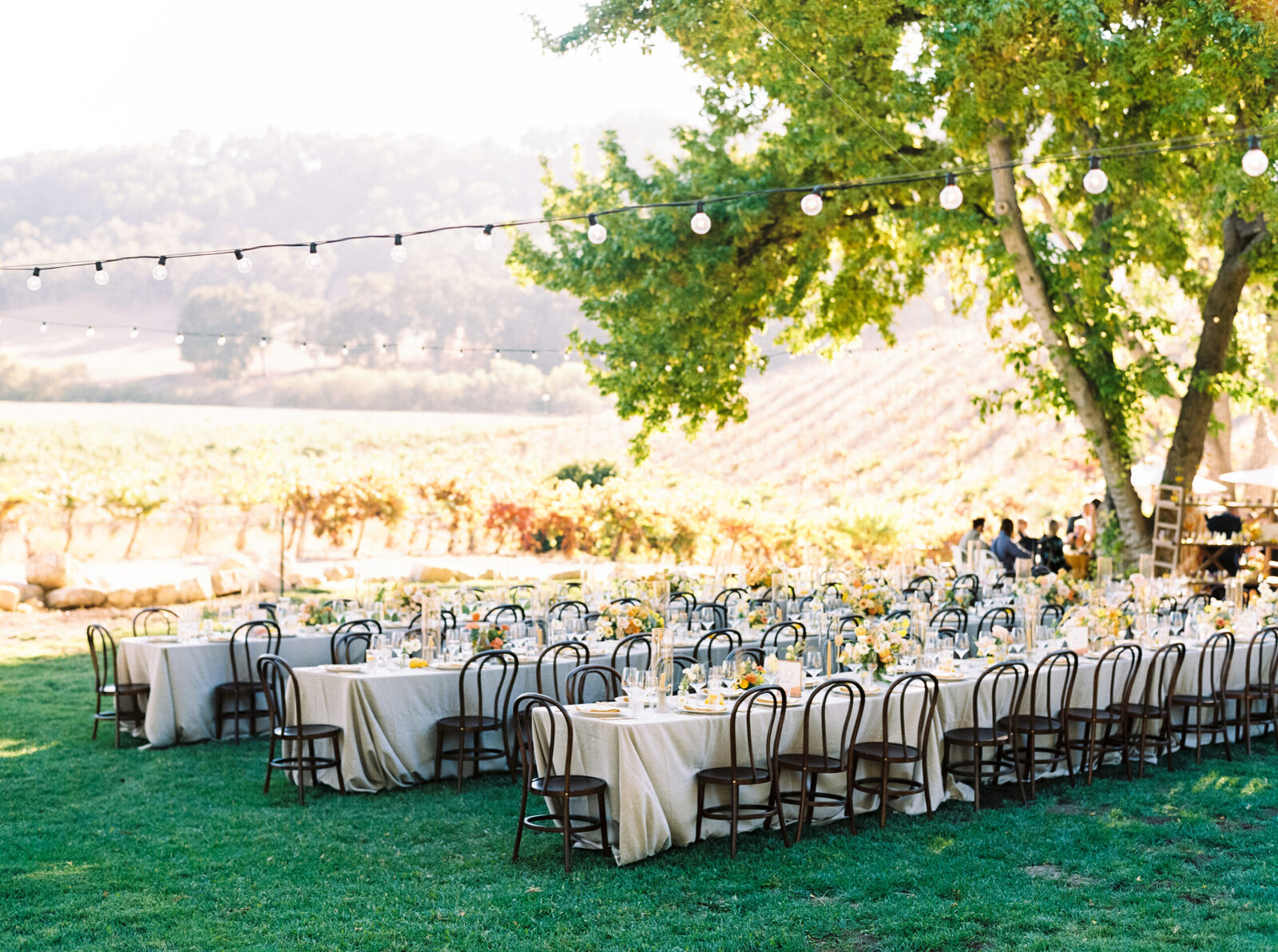 A beautifully set reception space at Hammersky Vineyards in Paso Robles, with the vineyards stretching in the distance.