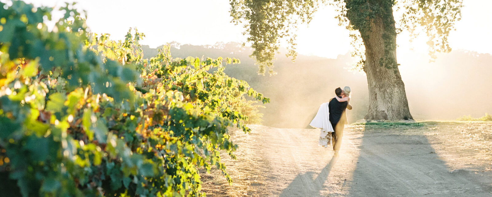 A groom sweeps his bride into his arms and walks her into the sunset at Hammersky Vineyards in Paso Robles.