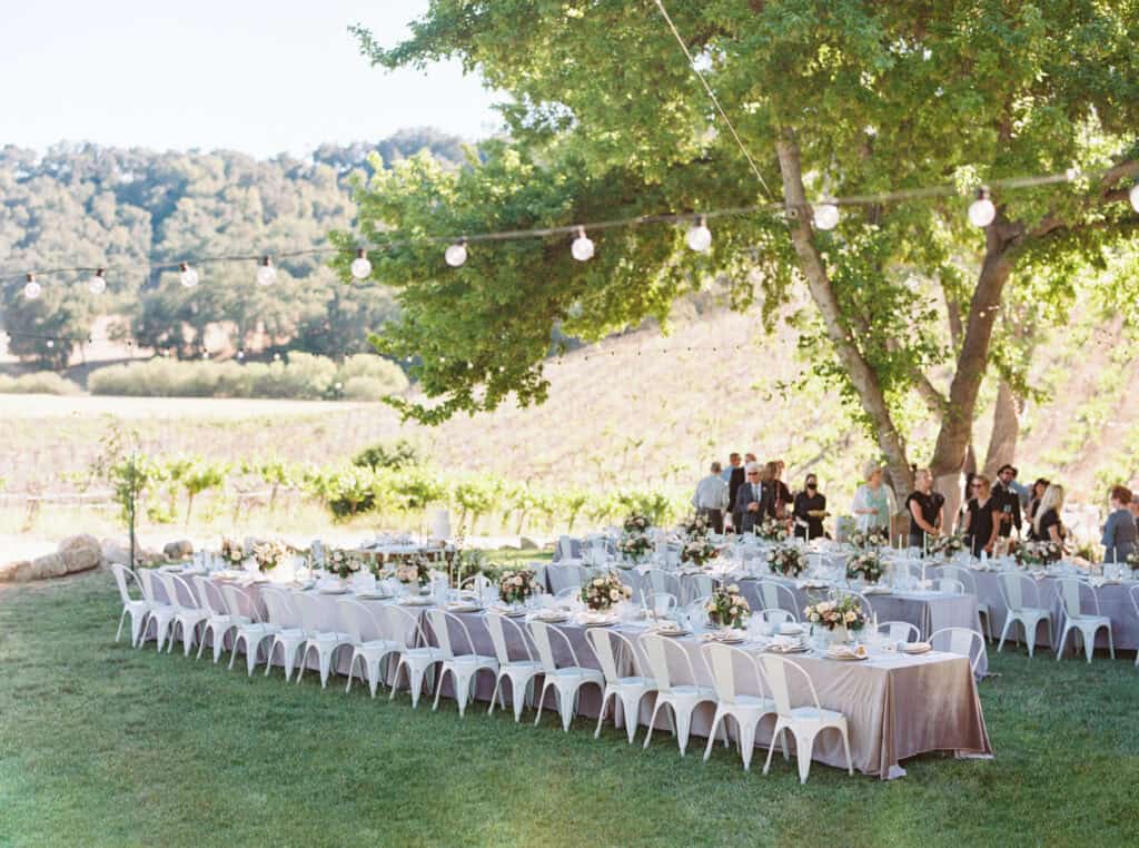 A wide-angle view of the reception space at Hammersky Vineyards, featuring beautifully arranged tables, floral centerpieces, and romantic lighting.