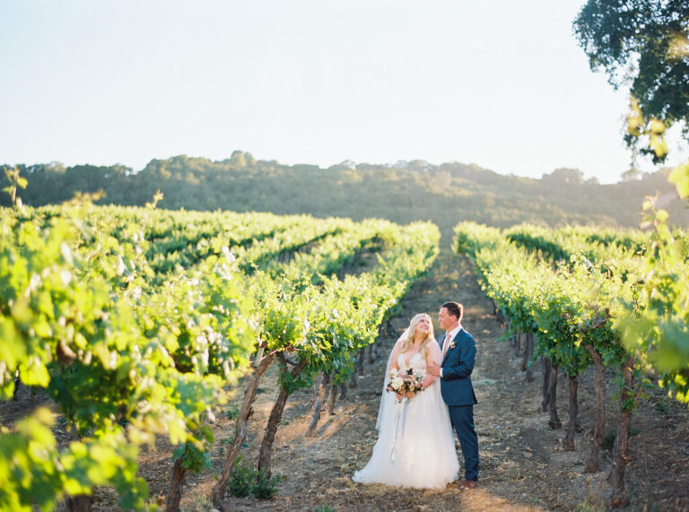 The bride and groom walk hand in hand into the vineyards at Hammersky Vineyards as the sun sets behind them.