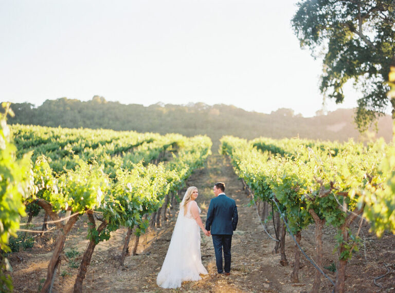 The newlyweds pause in the vineyards at Hammersky Vineyards, with the bride looking back at the camera as the groom lovingly admires her.