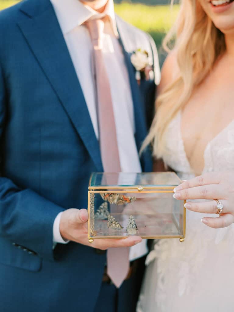 A close-up view of a glass box filled with butterflies, ready to be released in honor of loved ones at this Hammersky Vineyards wedding.