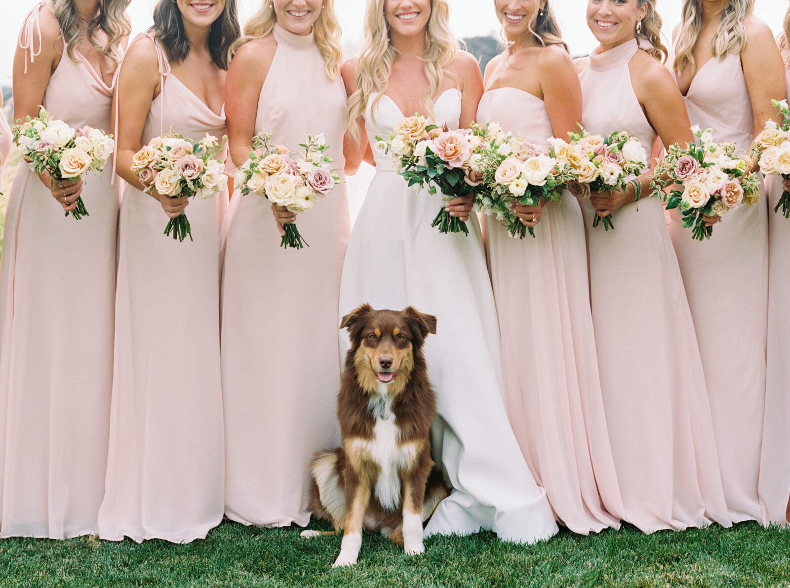 A bride’s dog sits sweetly in front of her as she lines up with her bridesmaids at Greengate Ranch.